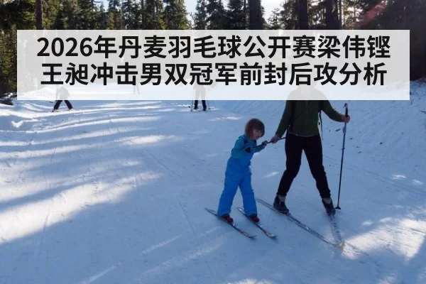 2026年丹麦羽毛球公开赛梁伟铿王昶冲击男双冠军前封后攻分析